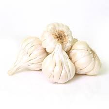 fresh garlic