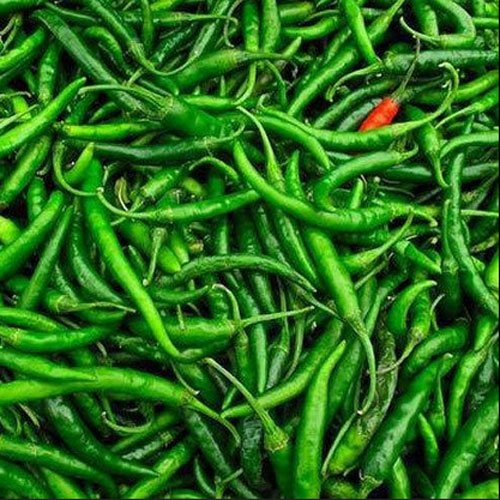 G4 Green Chilli